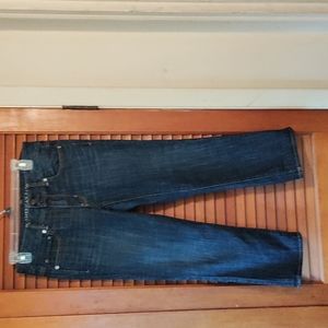 American Eagle outfitters women's size 6 artist crop stretch denim jeans